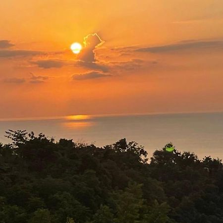 B&B Ereprijs 헤이그 외부 사진